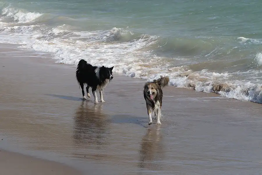 099 | 2011 | Punta Paloma | © carsten riede fotografie