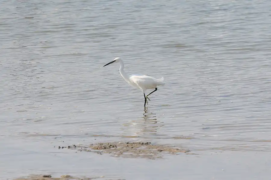 106 | 2011 | Sancti-Petri | © carsten riede fotografie