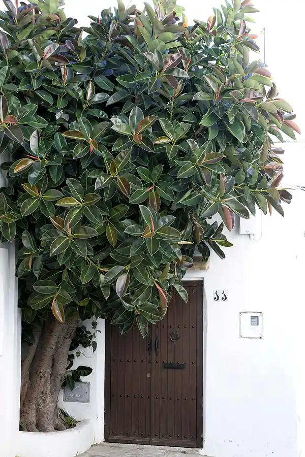 143 | 2011 | Vejer De La Frontera | © carsten riede fotografie