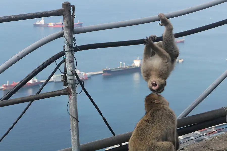 009 | 2011 | Gibraltar | © carsten riede fotografie