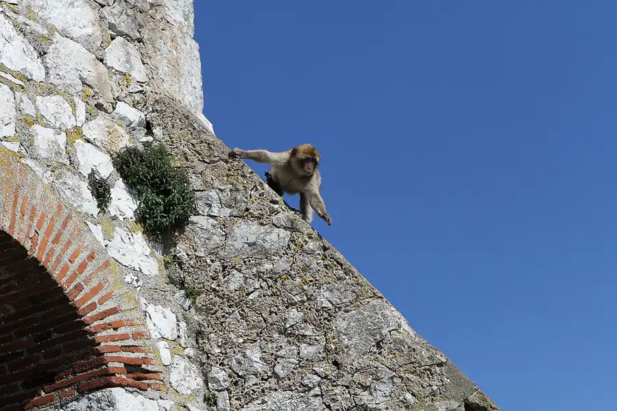 015 | 2011 | Gibraltar | © carsten riede fotografie