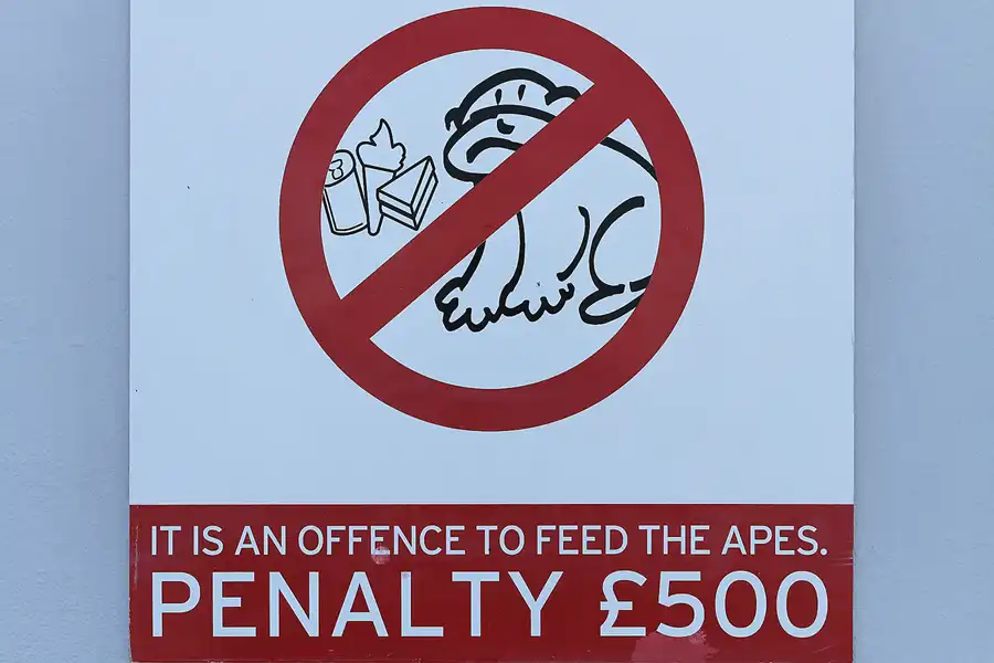 020 | 2011 | Gibraltar | © carsten riede fotografie