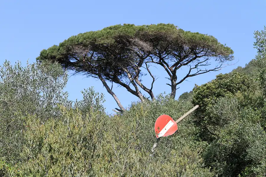 026 | 2011 | Gibraltar | © carsten riede fotografie