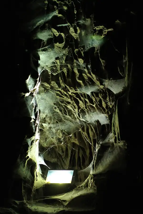 021 | 2011 | Gibraltar | St. Michael`s Cave | © carsten riede fotografie