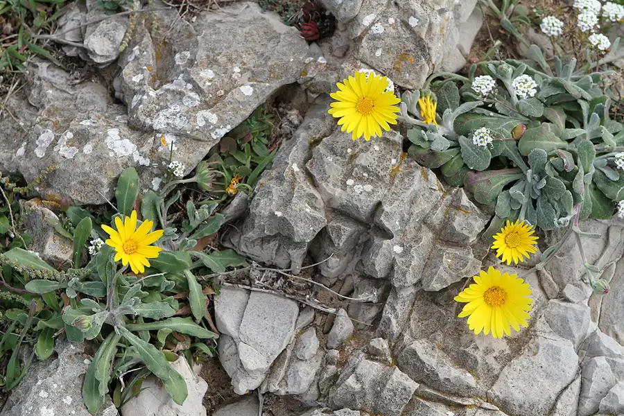 005 | 2011 | Cabo De Sao Vicente | © carsten riede fotografie