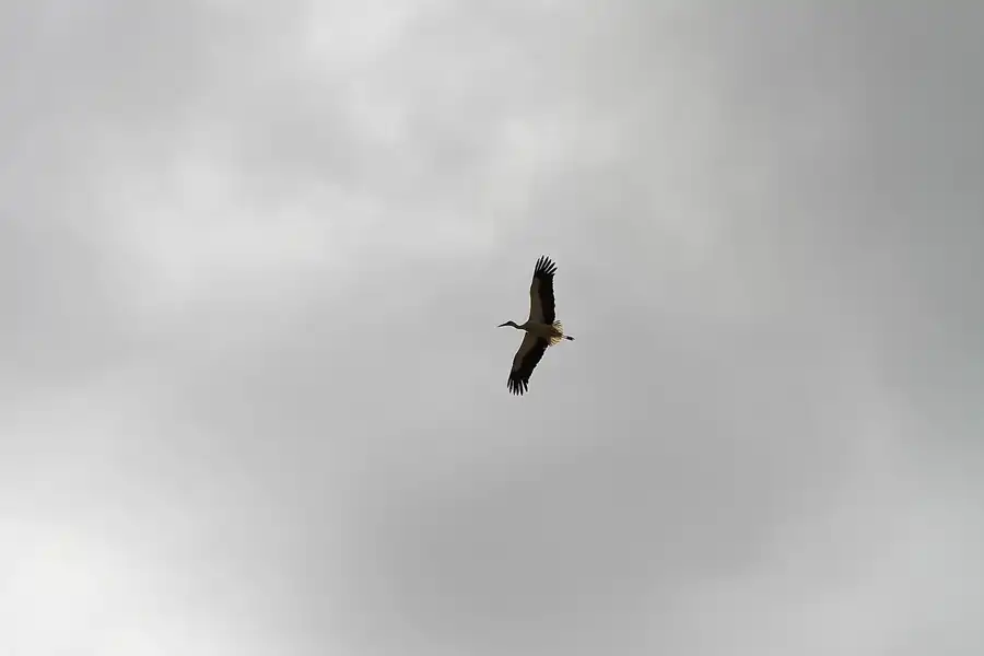 043 | 2011 | Estoi | © carsten riede fotografie