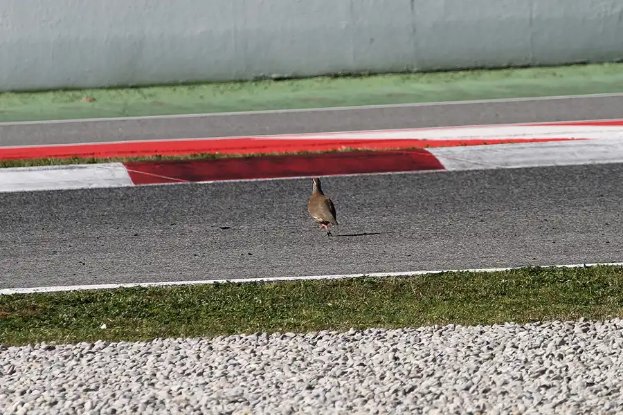 268 | 2011 | Barcelona | Circuit De Catalunya | © carsten riede fotografie