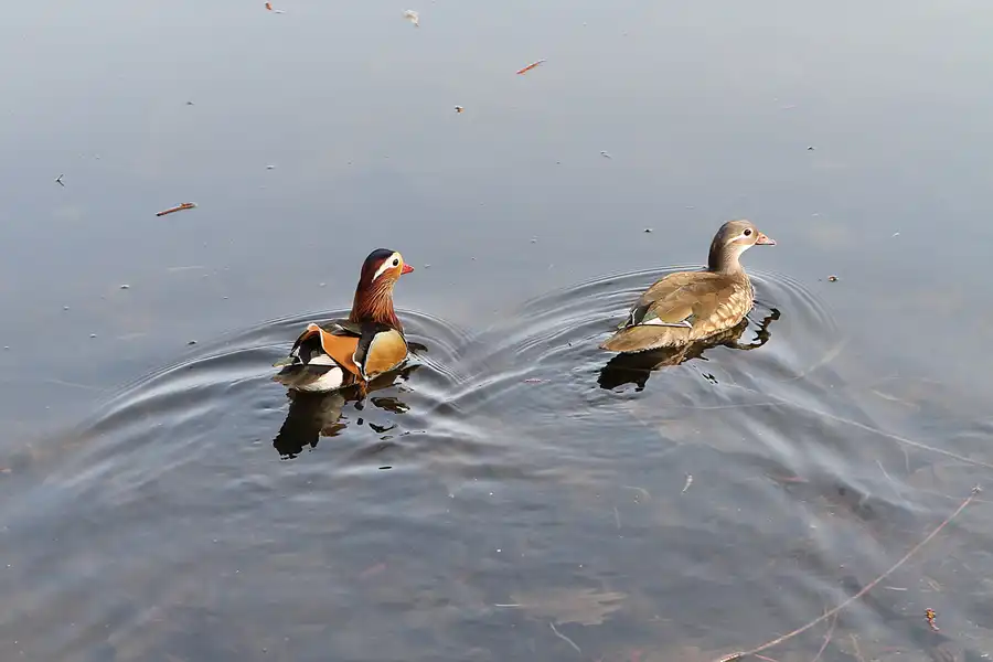 071 | 2011 | Berlin | Fennpfuhl | © carsten riede fotografie