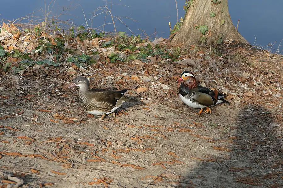 072 | 2011 | Berlin | Fennpfuhl | © carsten riede fotografie