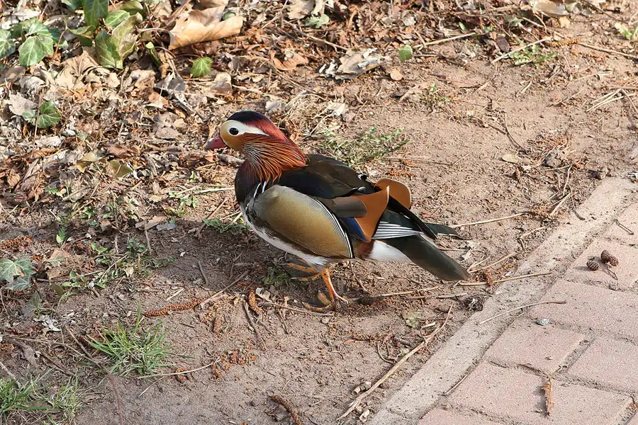 073 | 2011 | Berlin | Fennpfuhl | © carsten riede fotografie