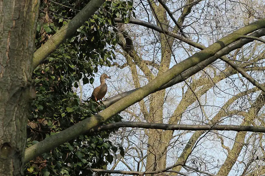 074 | 2011 | Berlin | Fennpfuhl | © carsten riede fotografie