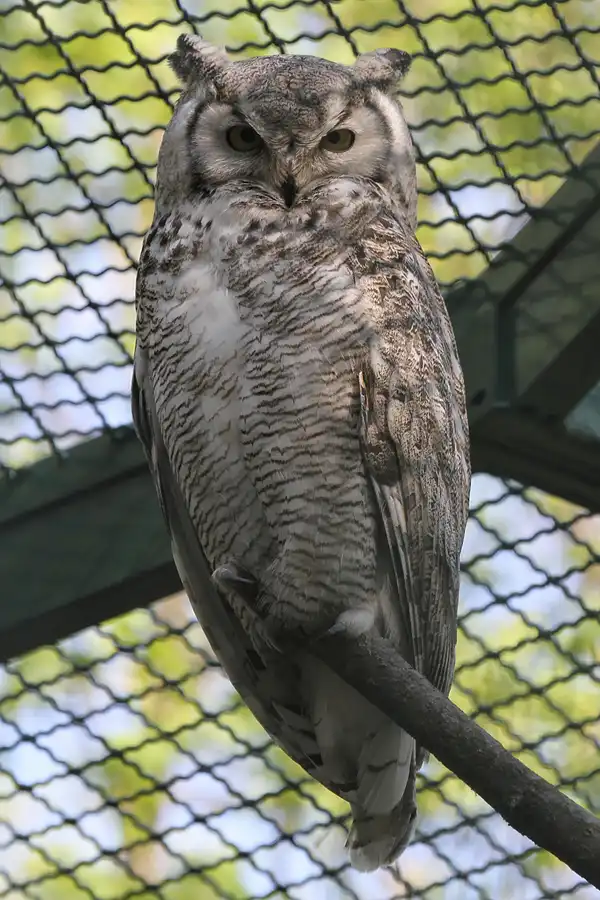 004 | 2011 | Berlin | Tierpark Friedrichsfelde | © carsten riede fotografie