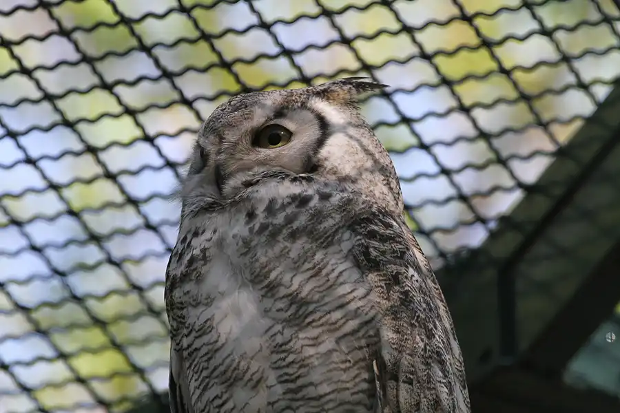 005 | 2011 | Berlin | Tierpark Friedrichsfelde | © carsten riede fotografie