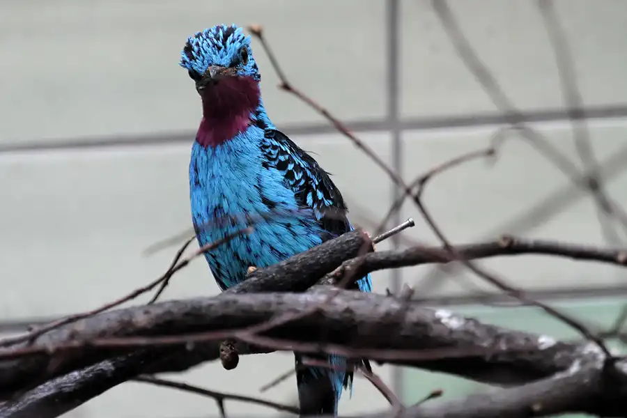 034 | 2011 | Berlin | Tierpark Friedrichsfelde | © carsten riede fotografie