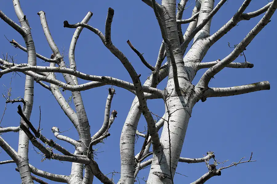 042 | 2011 | Berlin | Tierpark Friedrichsfelde | © carsten riede fotografie