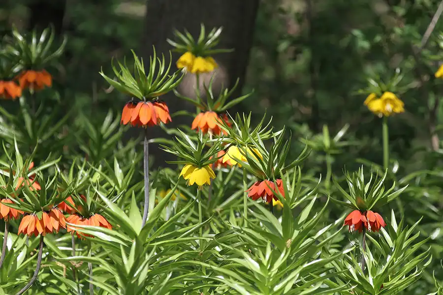 112 | 2011 | Berlin | Tierpark Friedrichsfelde | © carsten riede fotografie