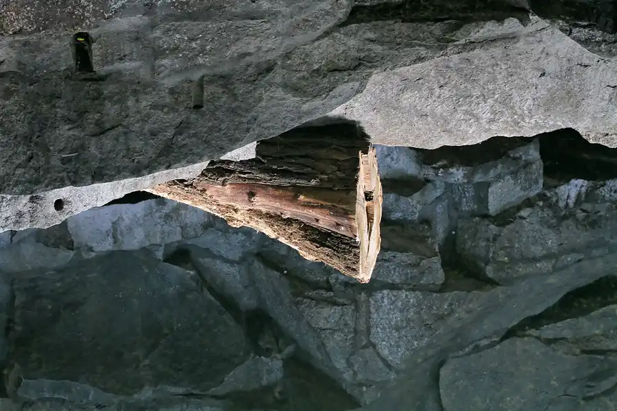 129 | 2011 | Berlin | Tierpark Friedrichsfelde | © carsten riede fotografie