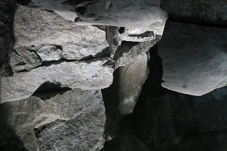 130 | 2011 | Berlin | Tierpark Friedrichsfelde | © carsten riede fotografie