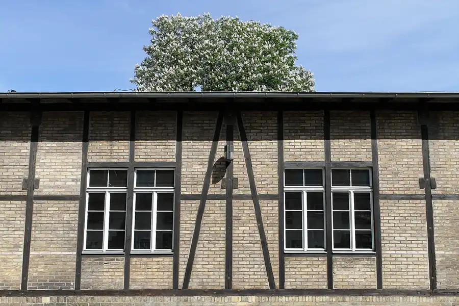 018 | 2011 | Berlin | Zitadelle Spandau | © carsten riede fotografie