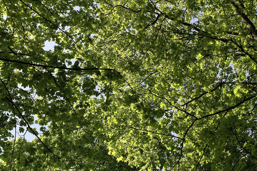 027 | 2011 | Berlin | Am Juliusturm | © carsten riede fotografie