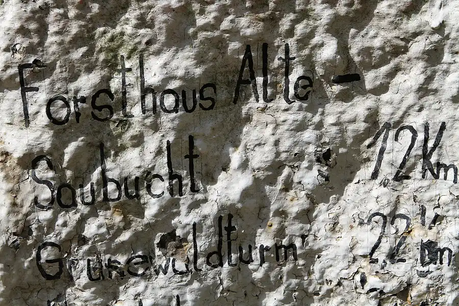 019 | 2011 | Berlin | Berliner Forst Grunewald | © carsten riede fotografie