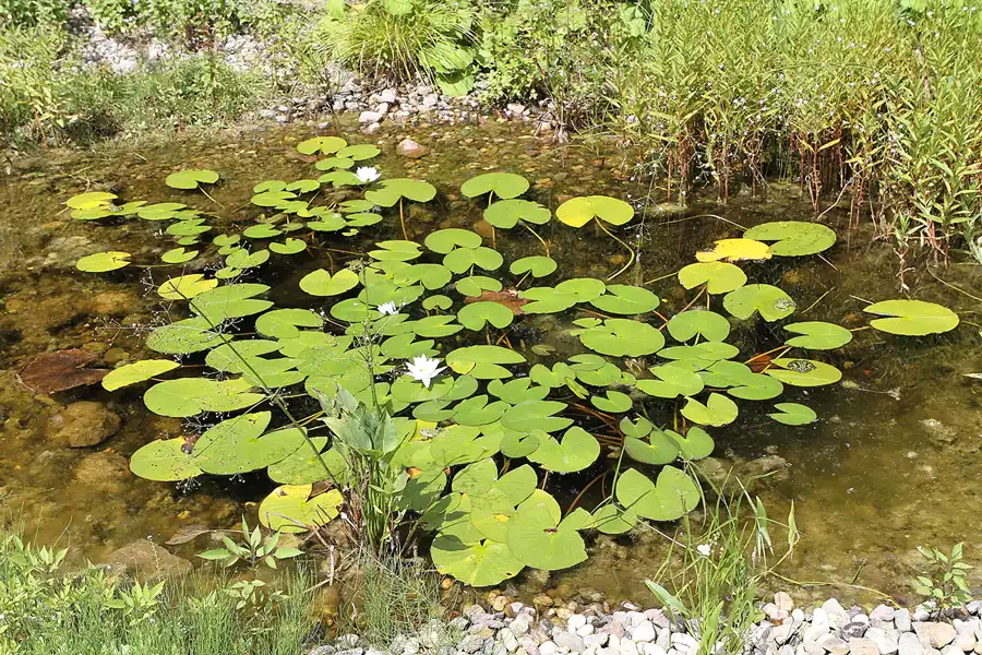 039 | 2011 | Berlin | Ökowerk am Teufelssee | © carsten riede fotografie