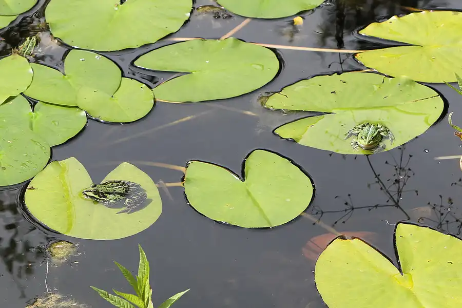 042 | 2011 | Berlin | Ökowerk am Teufelssee | © carsten riede fotografie