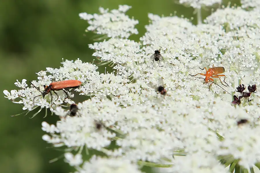 044 | 2011 | Berlin | Ökowerk am Teufelssee | © carsten riede fotografie