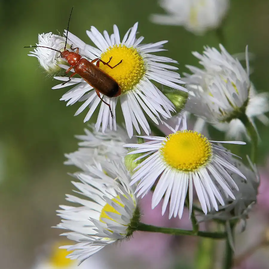 048 | 2011 | Berlin | Ökowerk am Teufelssee | © carsten riede fotografie