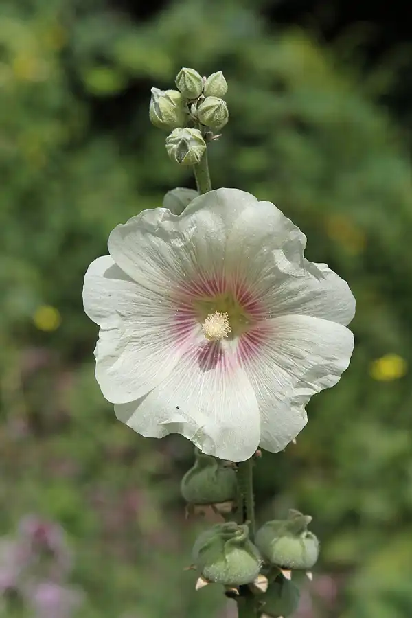 049 | 2011 | Berlin | Ökowerk am Teufelssee | © carsten riede fotografie