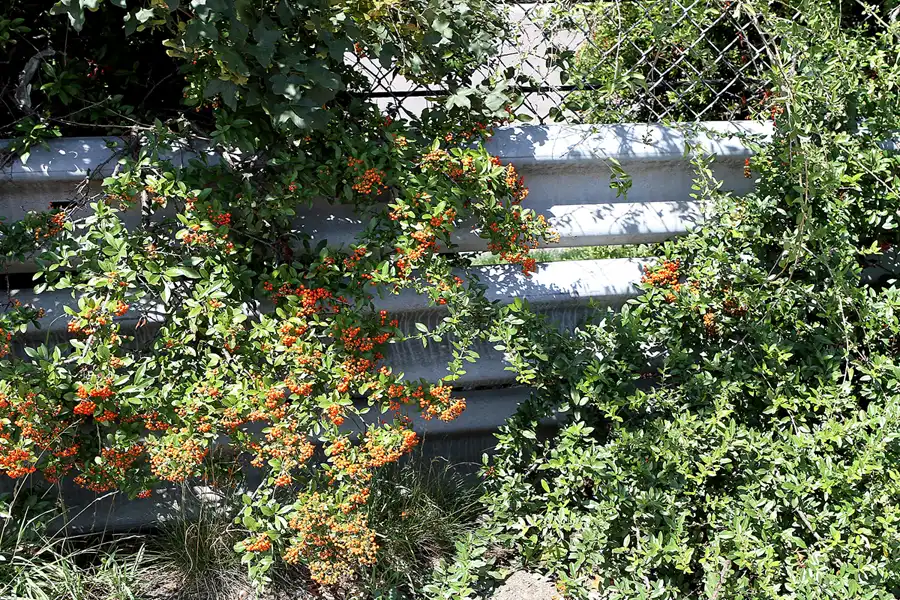 032 | 2011 | Berlin | Avus Nordkurve | © carsten riede fotografie