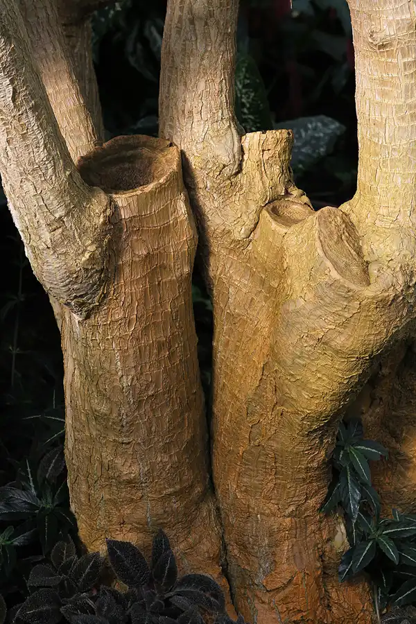 009 | 2011 | Berlin | Botanischer Garten | © carsten riede fotografie