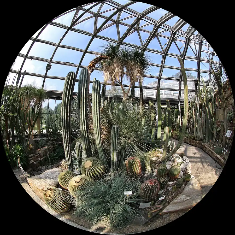 038 | 2011 | Berlin | Botanischer Garten | © carsten riede fotografie