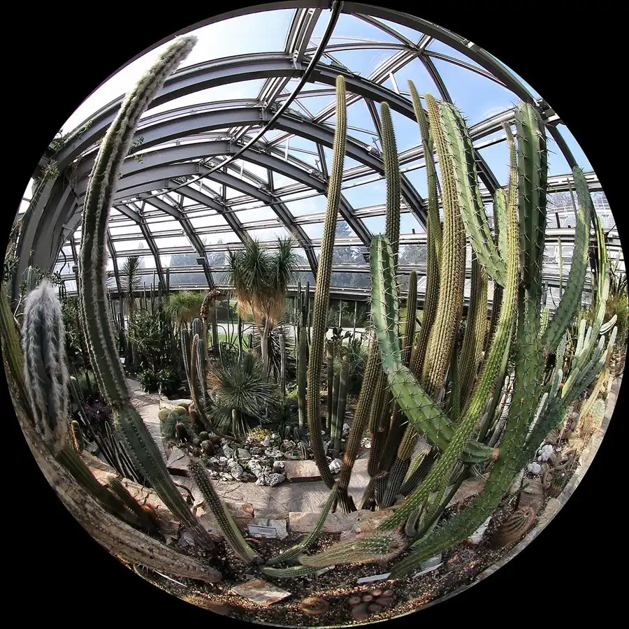 040 | 2011 | Berlin | Botanischer Garten | © carsten riede fotografie