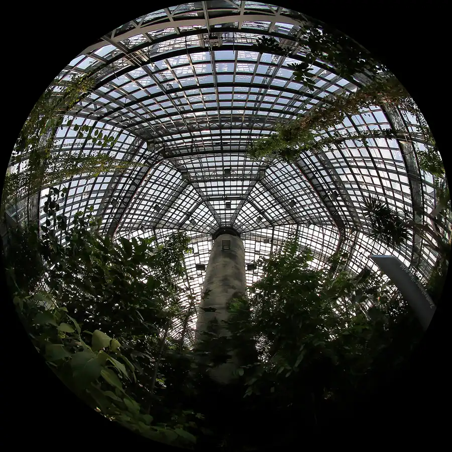 041 | 2011 | Berlin | Botanischer Garten | © carsten riede fotografie