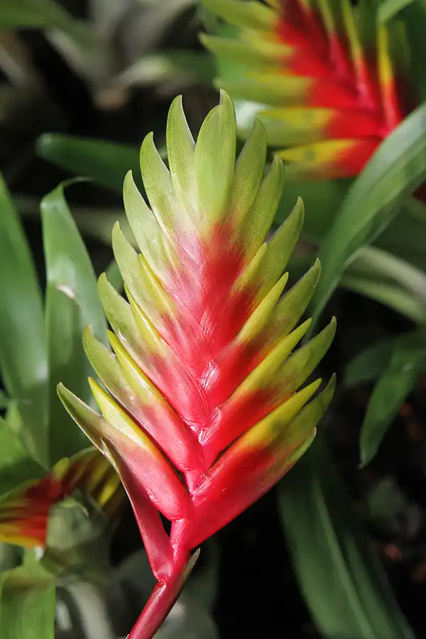 047 | 2011 | Berlin | Botanischer Garten | © carsten riede fotografie