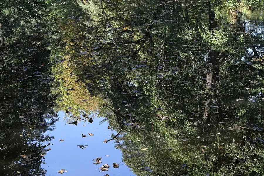 063 | 2011 | Berlin | Schloss Charlottenburg – Schlossgarten | © carsten riede fotografie