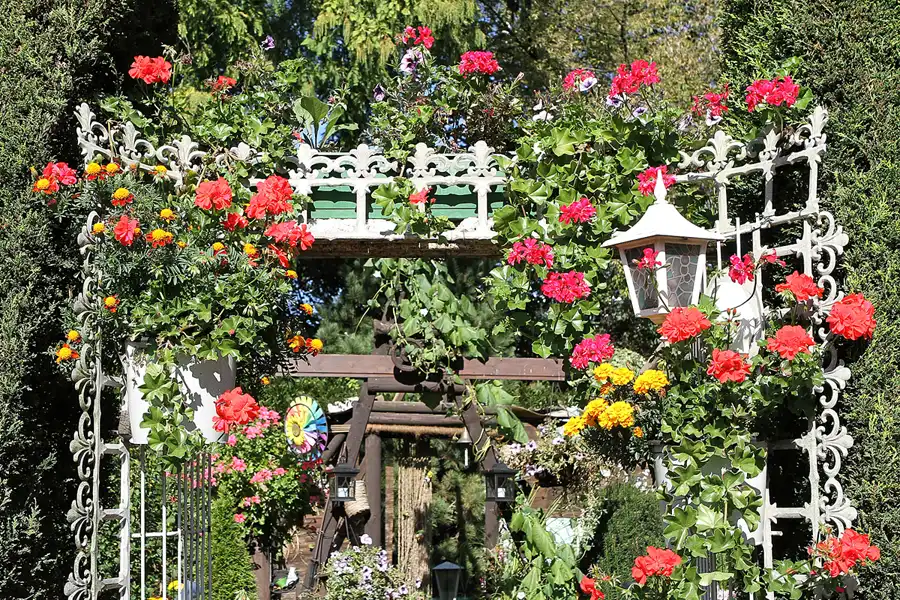 069 | 2011 | Berlin | Olbersstrasse | © carsten riede fotografie