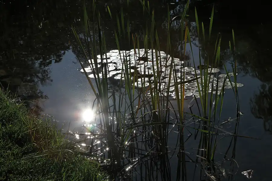 013 | 2011 | Berlin | Gärten der Welt im Erholungspark Marzahn | © carsten riede fotografie