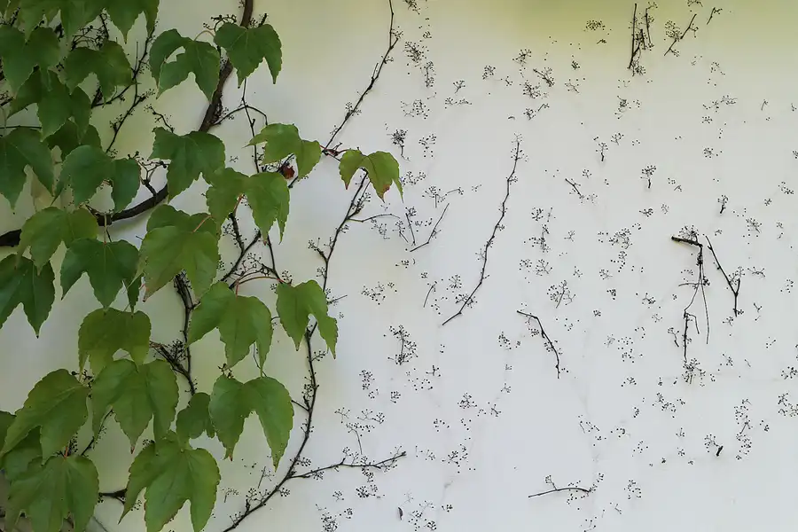 020 | 2011 | Berlin | Gärten der Welt im Erholungspark Marzahn | © carsten riede fotografie