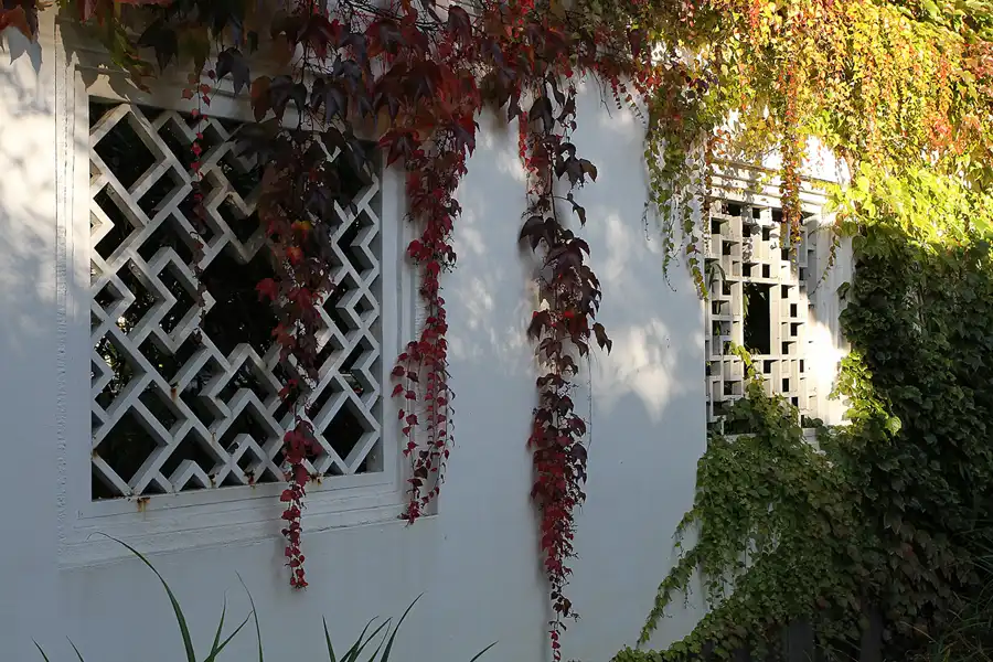 024 | 2011 | Berlin | Gärten der Welt im Erholungspark Marzahn | © carsten riede fotografie