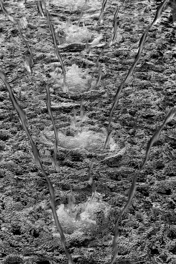 029 | 2011 | Berlin | Gärten der Welt im Erholungspark Marzahn | © carsten riede fotografie