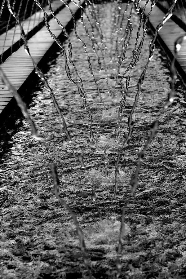 030 | 2011 | Berlin | Gärten der Welt im Erholungspark Marzahn | © carsten riede fotografie