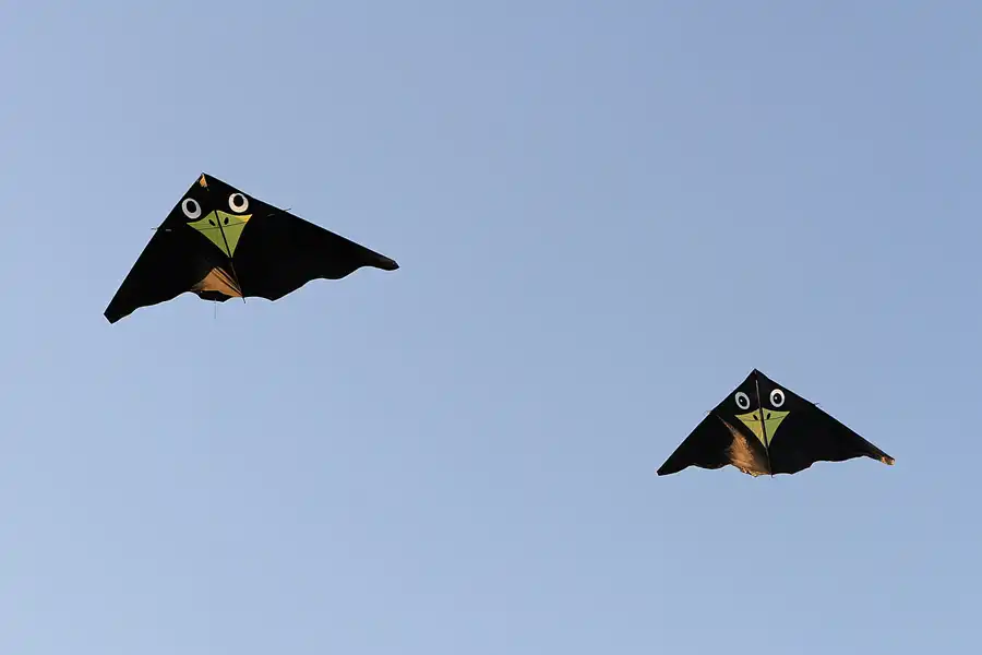 038 | 2011 | Berlin | Wuhletal | © carsten riede fotografie