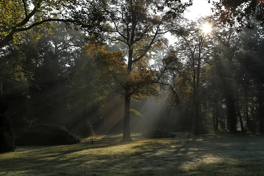 007 | 2011 | Potsdam | Park Charlottenhof | © carsten riede fotografie