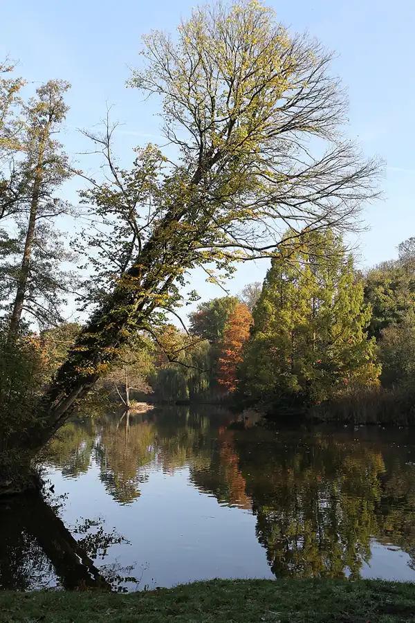 026 | 2011 | Potsdam | Park Charlottenhof | © carsten riede fotografie