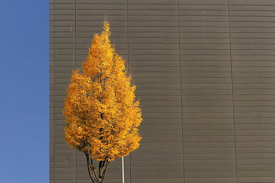 026 | 2011 | Berlin | Technologiepark WISTA | © carsten riede fotografie