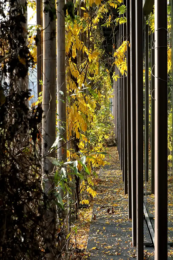 032 | 2011 | Berlin | Technologiepark WISTA | © carsten riede fotografie