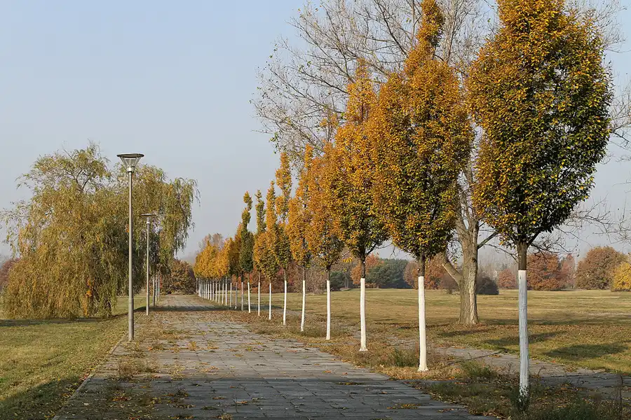 036 | 2011 | Berlin | Technologiepark WISTA | © carsten riede fotografie