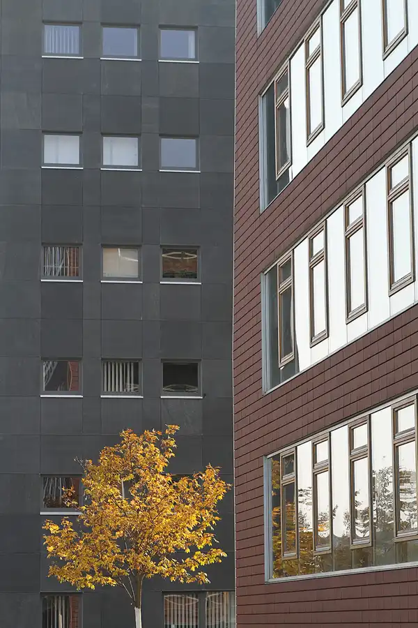 051 | 2011 | Berlin | Technologiepark WISTA | © carsten riede fotografie